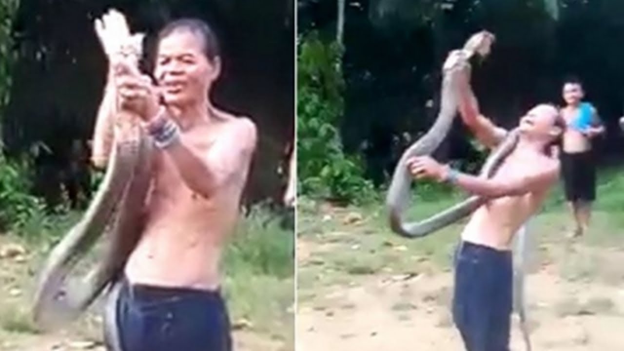 Snake Charmer Killed By King Cobra Bite While Showing Off His Skills To Villagers