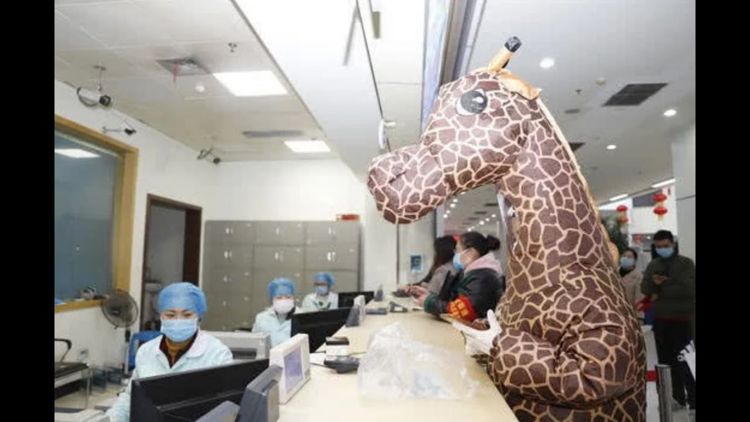 Chinese Woman Visiting Hospital Puts on Giant Giraffe Costume as Protection from Coronavirus