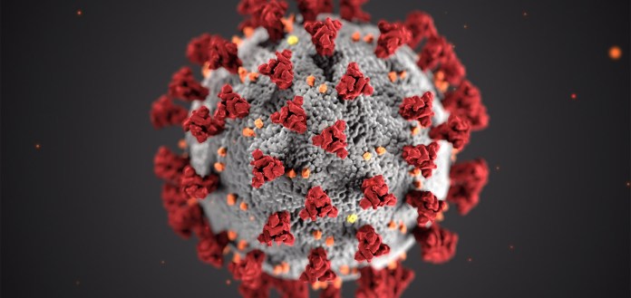 Coronavirus: UN warns number of hungry could double