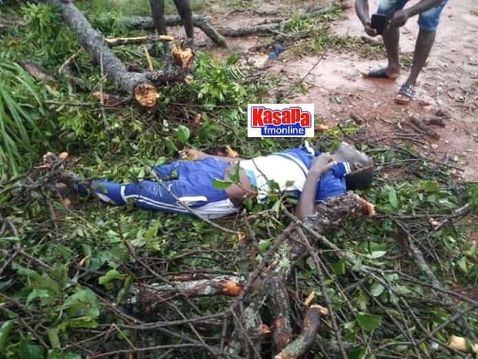 C/R: Falling tree kills Teacher at Denkyira Motiakrom