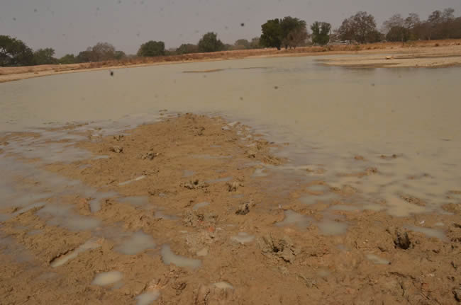 A research conducted by the Peasant Farmers Association of Ghana has revealed that about 90% of dams constructed under government’s ‘One Village, One Dam’ (1V1D) initiative in the Upper East Region, cannot be used for irrigation purposes. The research further reveals that there was poor consultation with other government agencies such as the district assemblies in the planning phase of the initiative and as a result; the district assemblies could not effectively supervise the projects. The Peasant Farmers Association of Ghana with funding from OXFAM commissioned the research to examine the implementation of the ‘One Village, One Dam’ initiative in the Upper East Region. The study aimed to among other things establish the number of dams constructed within the region, examine the appropriateness of the dams in serving domestic and agricultural purposes and determine the usefulness of the dams in addressing the water requirement of the beneficiary communities during the dry seasons. One of the dams The research which was led by Prof. Joseph Yaro of the Department of Geography at the University of Ghana established that so far; 83 out of the 140 dams promised the by the government, have been completed. This represents 59%. Giving some details of the research findings, Prof. Joseph Yaro said people in beneficiary communities were not involved in “the site selection, the kind of dams and what they could be used for”. He said “normally, when we have projects of this nature, we do environmental and social (impact) assessments. But these were taken for granted and left out and that subsequently has come back to haunt us”. “As we have realized, dams have been abandoned and the little lands that families had which were given out for the dams have become degraded lands that they cannot use for anything”, Prof. Yaro added. He further revealed that about 90 percent of the dams constructed under the “One Village, One Dam” initiative in the Upper East Region cannot be used for irrigation purposes. “Most of these (1V1D) dams can be classified basically as domestic or livestock dams in terms of use. So irrigation really, is out of the question for probably 90 percent of these dams. It is not possible for irrigation”, he said. He revealed further that for many of the places where dams were constructed under “One Village, One Dam”, government could have constructed better quality dams; four times the size of the 1D1V dams. “We think that it will be much useful in the future, if we aggregated the dams and constructed dams in places where dams are possible and left out communities that do not have the best geology for dams”, Prof. Yaro said. The Peasant Farmer Association of Ghana’s research also touched on the key issue of the amount of money allocated for the construct of each dam and whether the amount was enough to construct good quality dams. Andrew Alalbilla, an engineer with the Ghana Irrigation Development Authority who were interviewed as key informants in the research said the Two Hundred and Fifty Thousand Ghana Cedis (GHC 250, 000) that was allocated for the construction of the 1V1D dams was not enough. He indicated that “for one to construct a meaningful dam that can be used for irrigation, that money would not be enough. [But] some of the dams we visited met our standards – a dam like the Zagsibuilga dam in the Tempane district”. The Association has made some recommendations to the government, based on the findings of their research. National President of the Association, Abdul-Rahman Mohammed said, “We are calling on the government to revisit the projects and make sure they are renovated and well-structured for the farmers to be able to use them”. It remains to be seen whether government will improve on the size and quality of dams constructed under the “One Village, One Dam” Initiative.