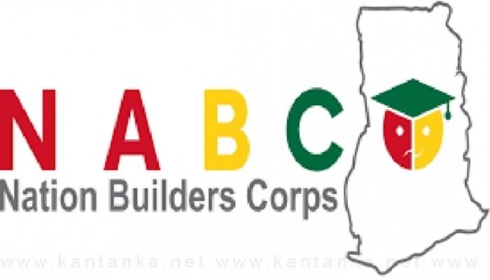 NABCo beneficiaries will be made permanent staff – NDC pledges