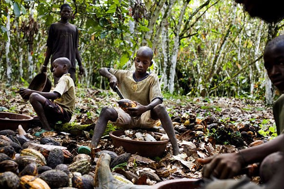 The use of child labour has risen in cocoa farms in Ghana and Ivory Coast during the past decade despite industry promises to reduce it, academics said on Monday